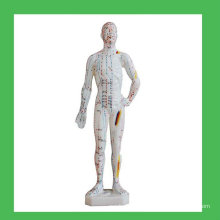 11 &quot;Modèle de points corporels d&#39;acupuncture humaine, modèle chinois d&#39;acupuncture humaine